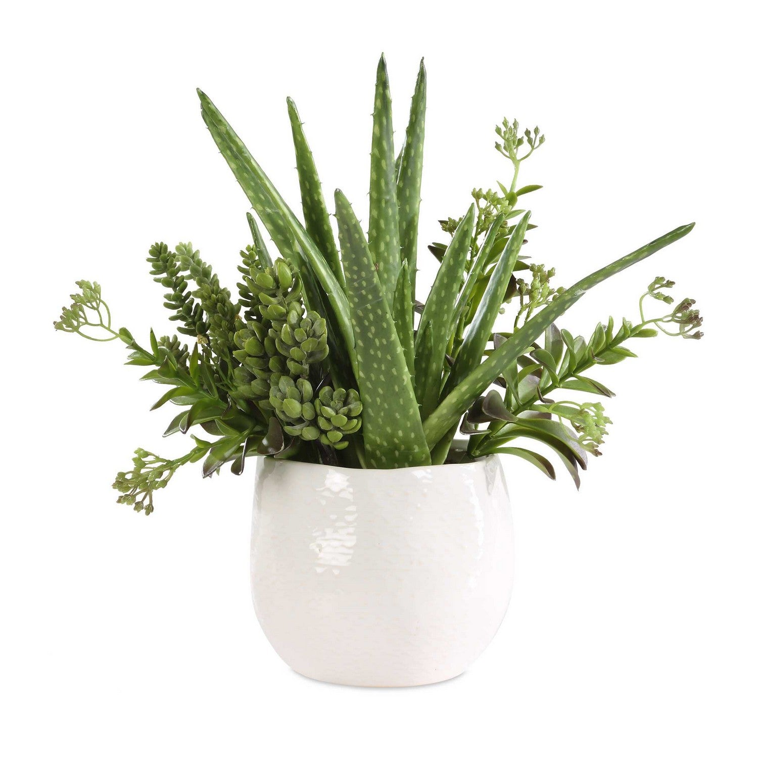 Uttermost - 60244 - Pot de fleurs - Succulente Sundown - Blanc brillant