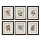 Uttermost - 32447 - Ensemble de 6 impressions encadrées - Orchidée