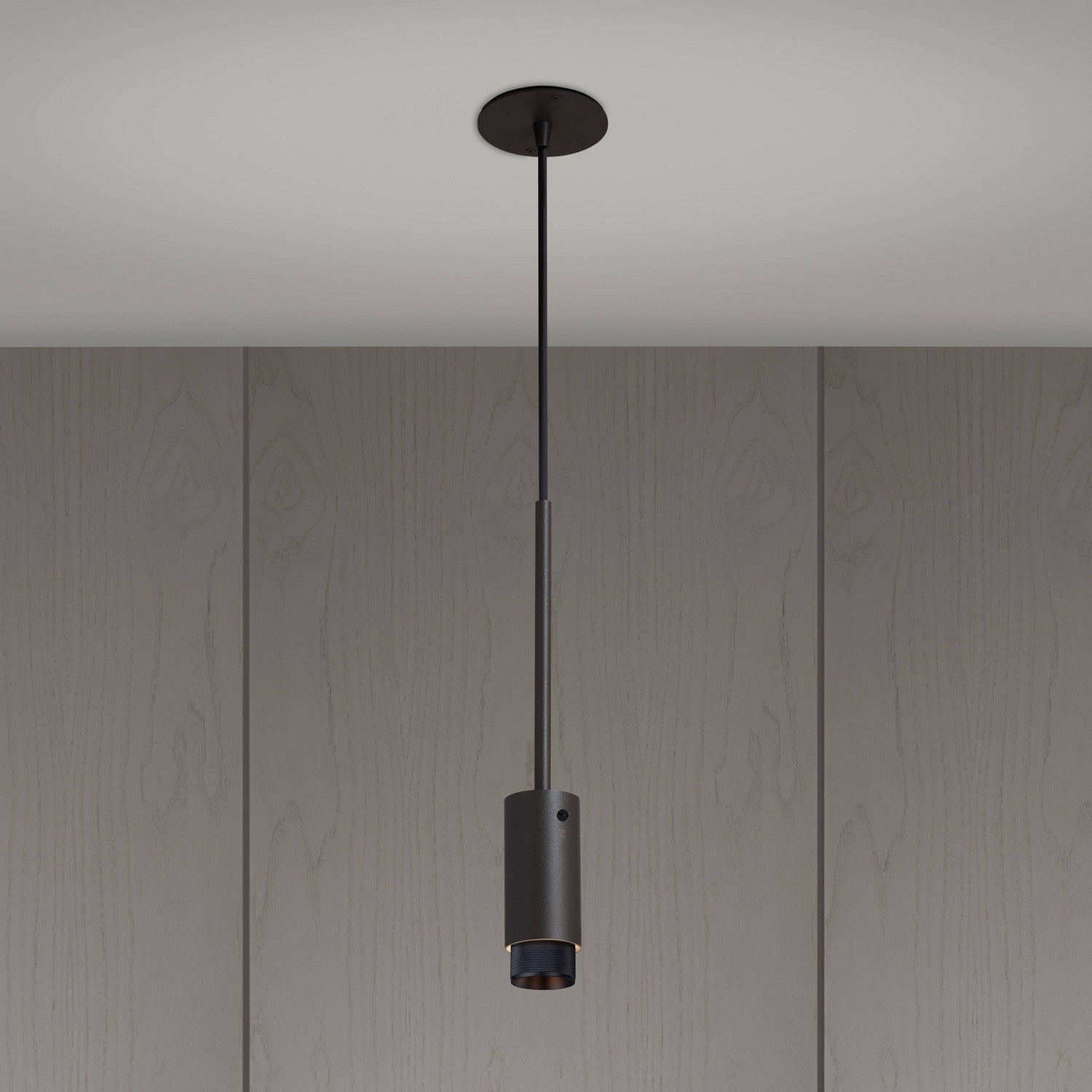 Buster + Punch - NEIG-943939 - LED Spotlight - Black
