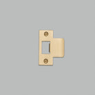 Buster + Punch - UDS-051776 - Kit de plaque de frappe - Laiton