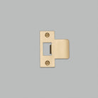 Buster + Punch - UDS-051782 - Kit de plaque de frappe - Laiton