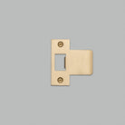 Buster + Punch - UDS-051788 - Kit de plaque de frappe - Laiton