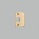Buster + Punch - UDS-051794 - Kit de plaque de frappe - Laiton