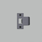 Buster + Punch - UDS-351786 - Kit de plaque de frappe - Gris anthracite