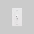 Buster + Punch - NTG-143820 - Toggle Switch - White