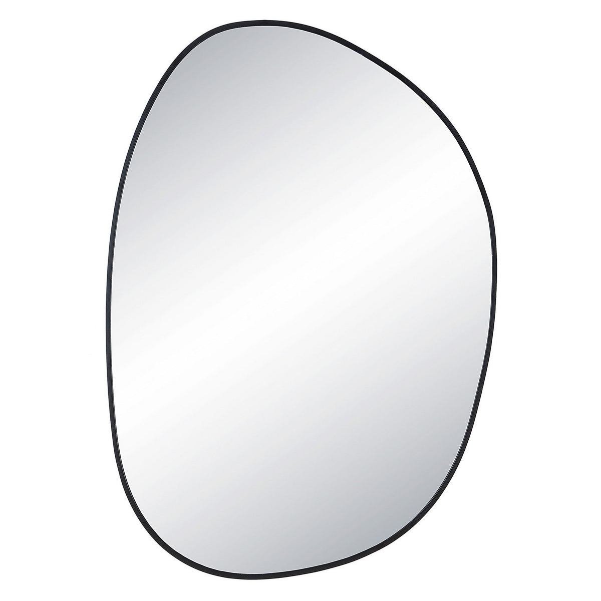 Renwil Canada - MT2564 - Mirror - Bozeman - Matte Black