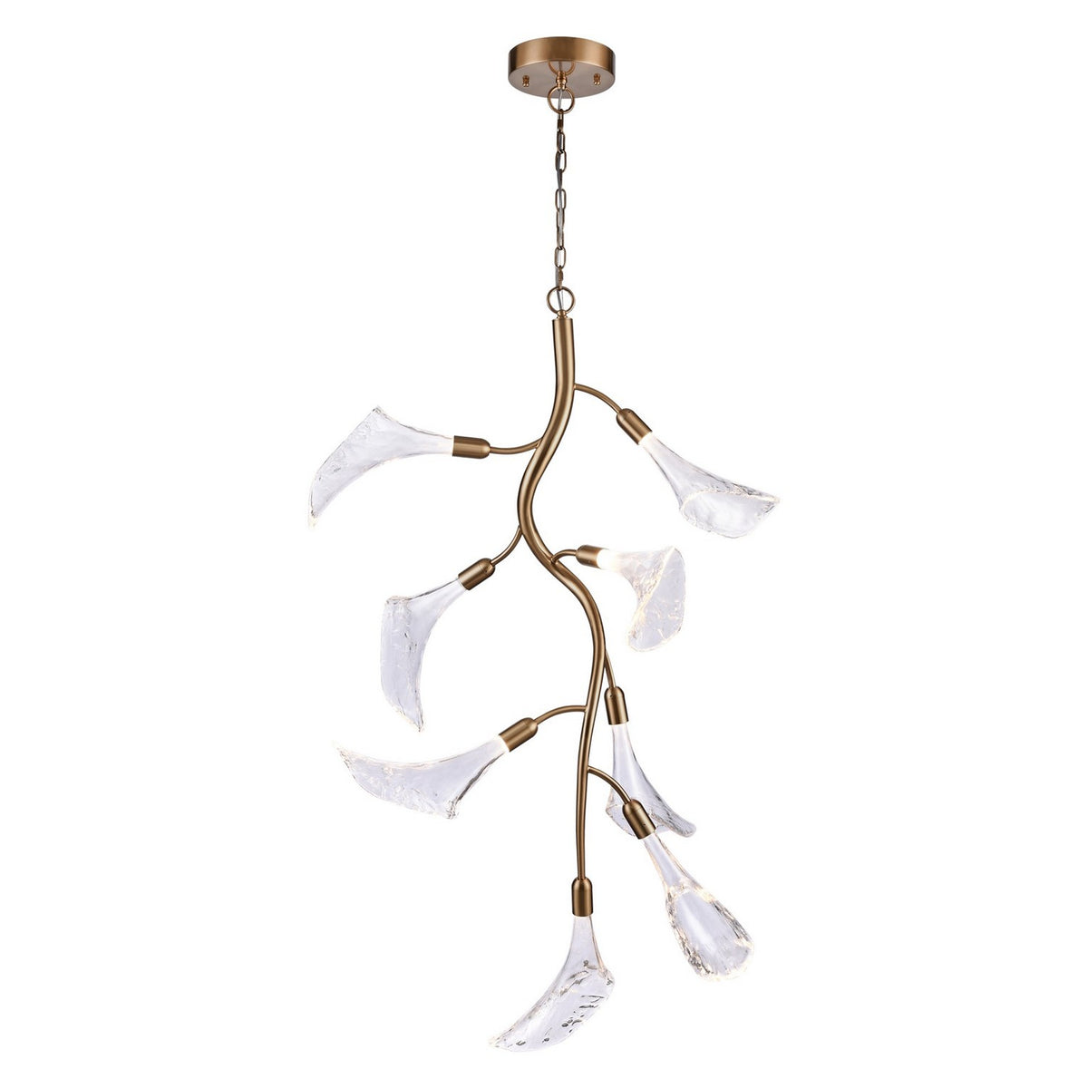Arabela Lighting - 85192-8 - LED Chandelier - Calla - Natural Brass