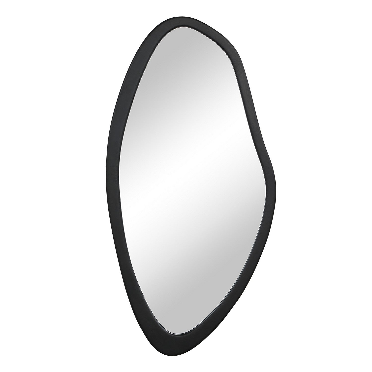 Renwil Canada - MT2702 - Mirror - Trani - Matte Black