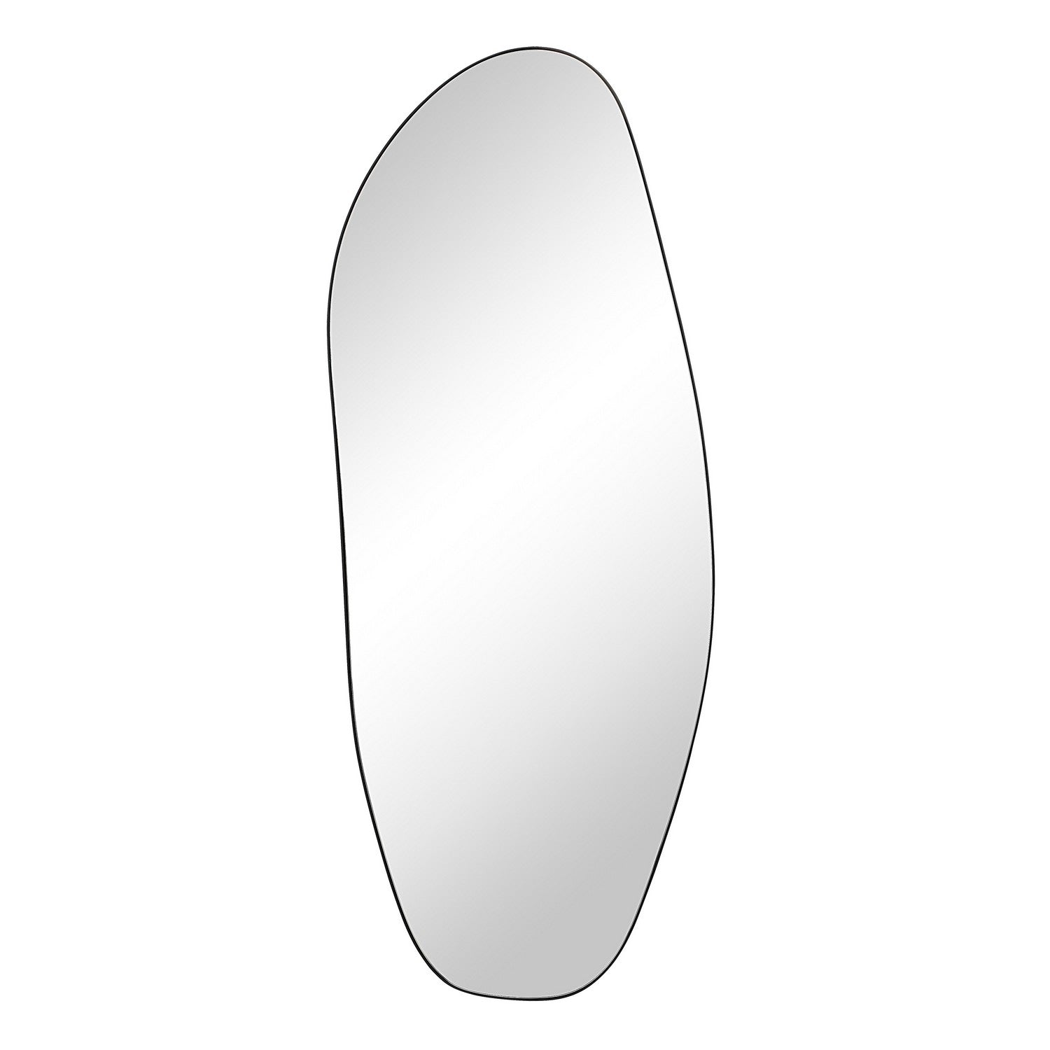 Renwil Canada - MT2704 - Mirror - Enina - Matte Black
