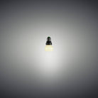 Buster + Punch - NPB-371576 - Ampoule - Opale