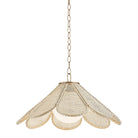 Troy Lighting Canada - F3324-PBR - Une lampe Suspension - Pétale - Laiton patiné