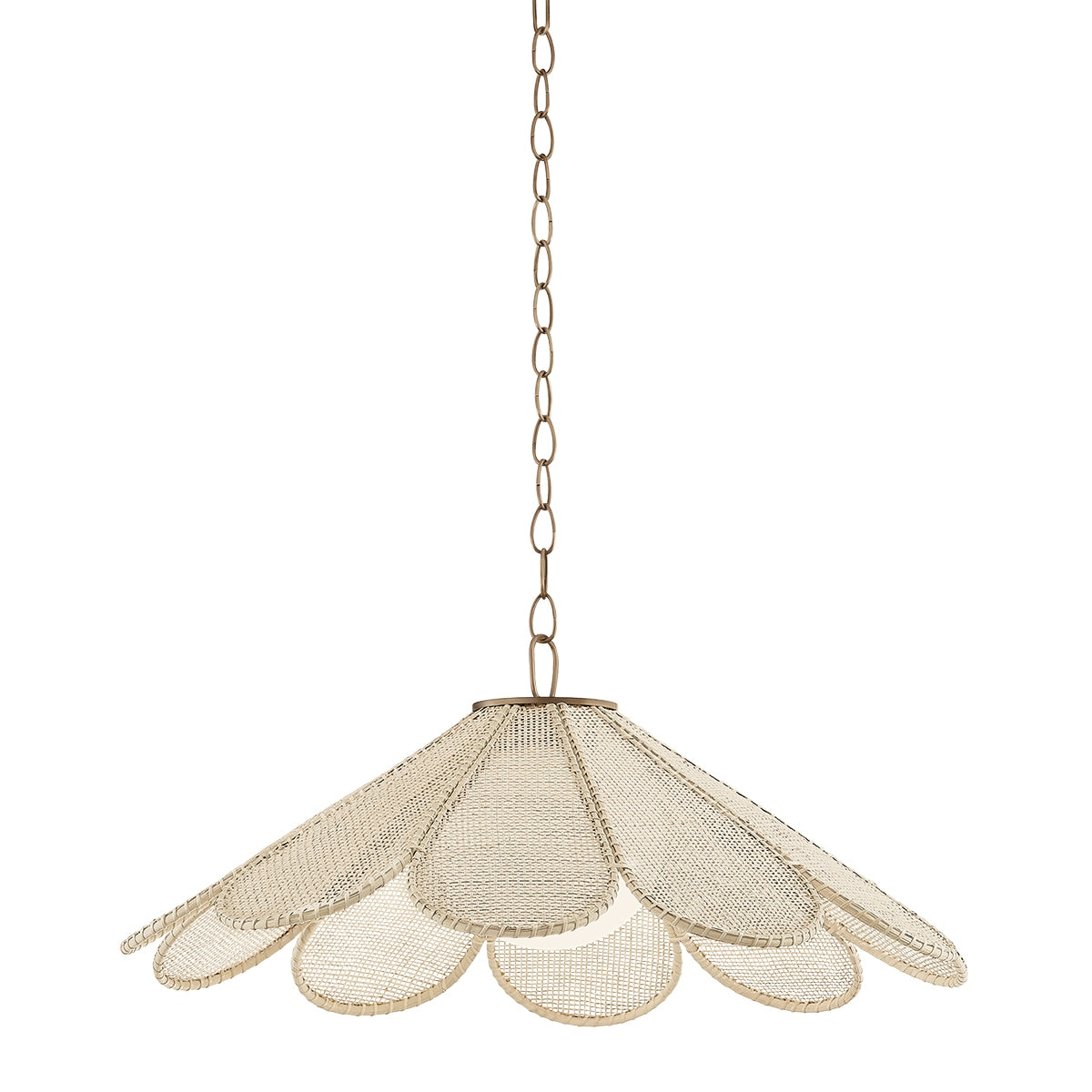 Troy Lighting Canada - F3336-PBR - Une lampe Suspension - Pétale - Laiton patiné