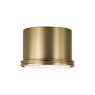 Éclairage Capital - 259412AD - Une lampe Plafonnier - Griffon - Laiton vieilli