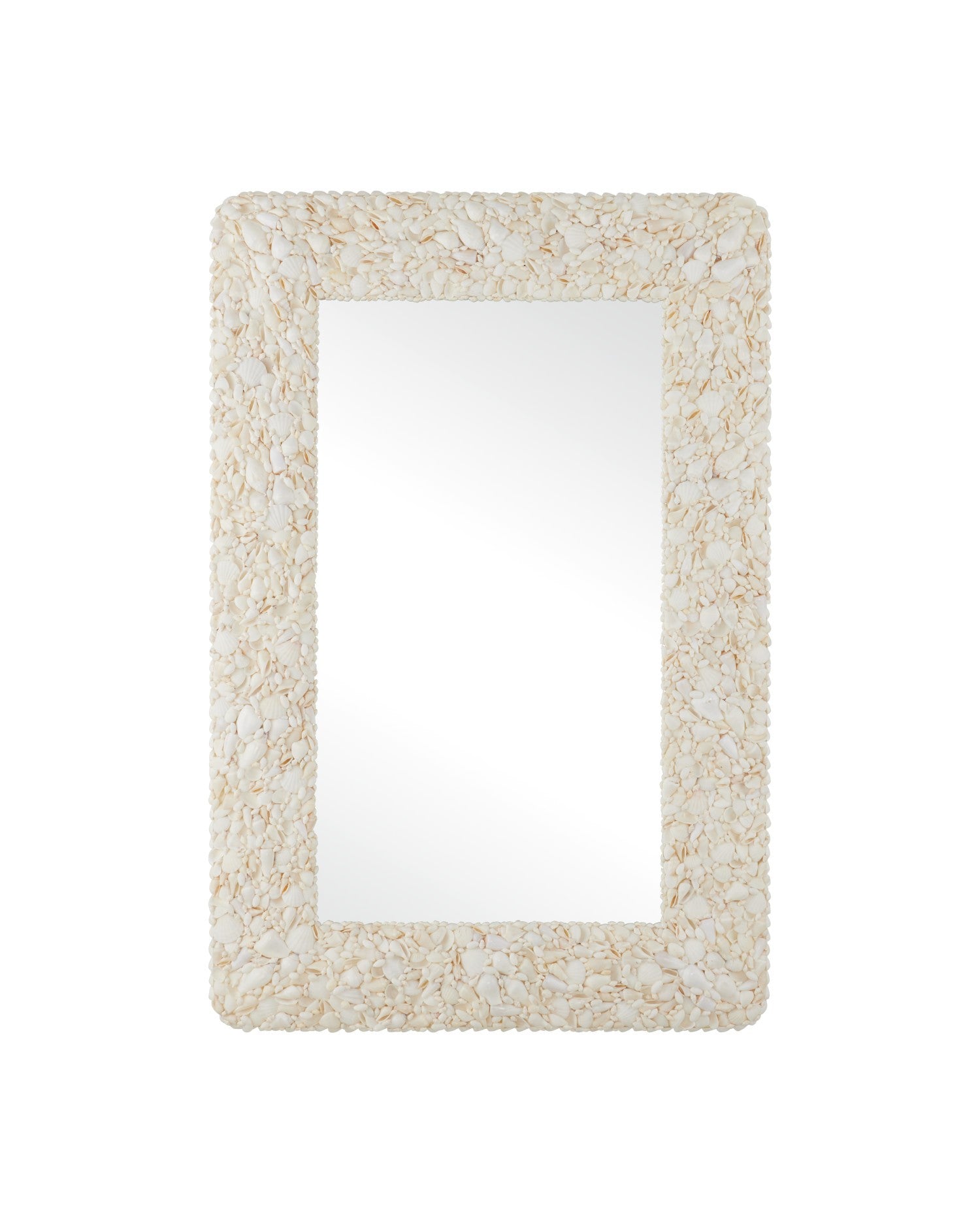Currey and Company - 1000-0168 - Mirror - Turbinella - Natural