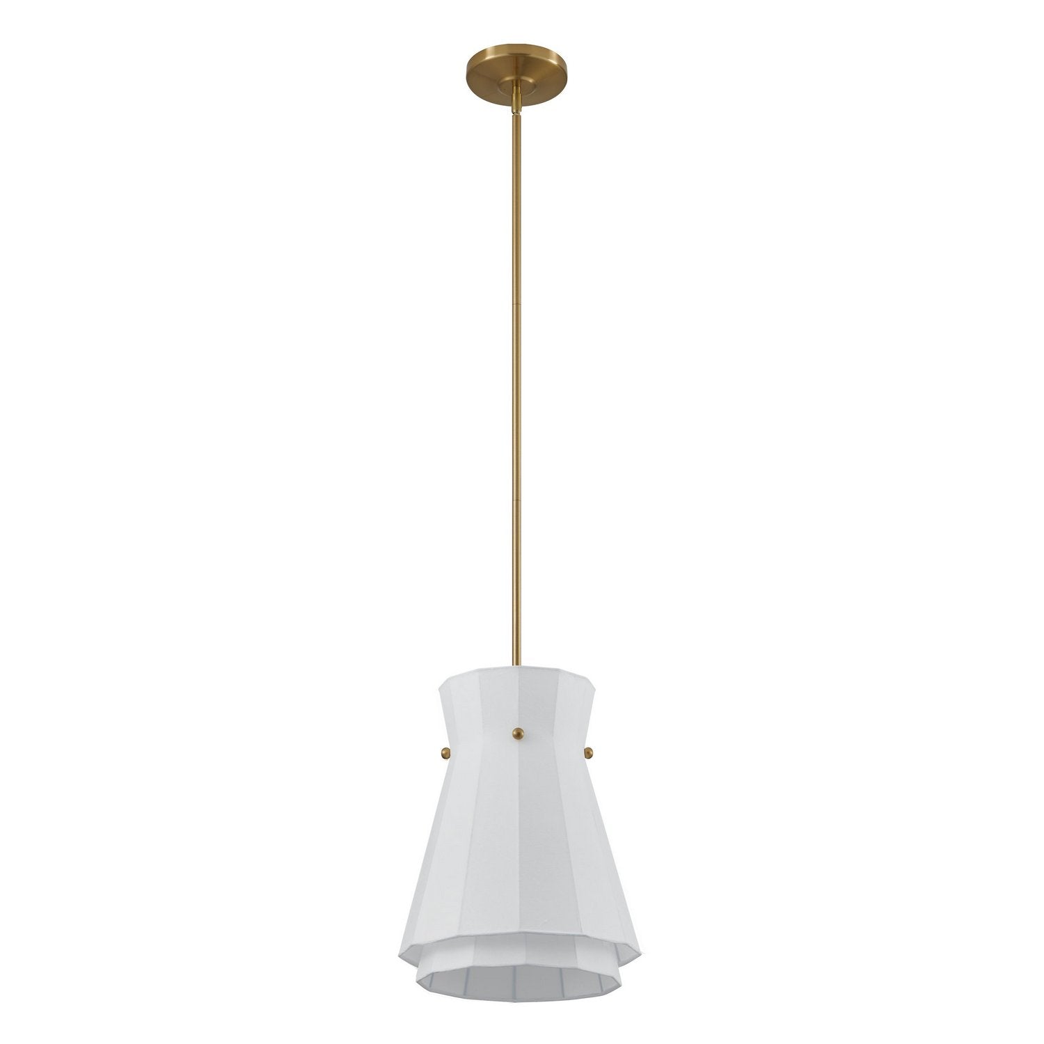 Thesis Lighting 206925A Bryony Convertible Pendant in Brushed Gold