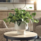 Uttermost - 60257 - Vase - Essence d'eucalyptus - Blanc
