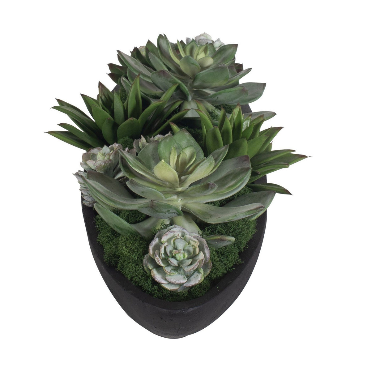 Uttermost - 60260 - Bowl Centerpiece - Verde - Black