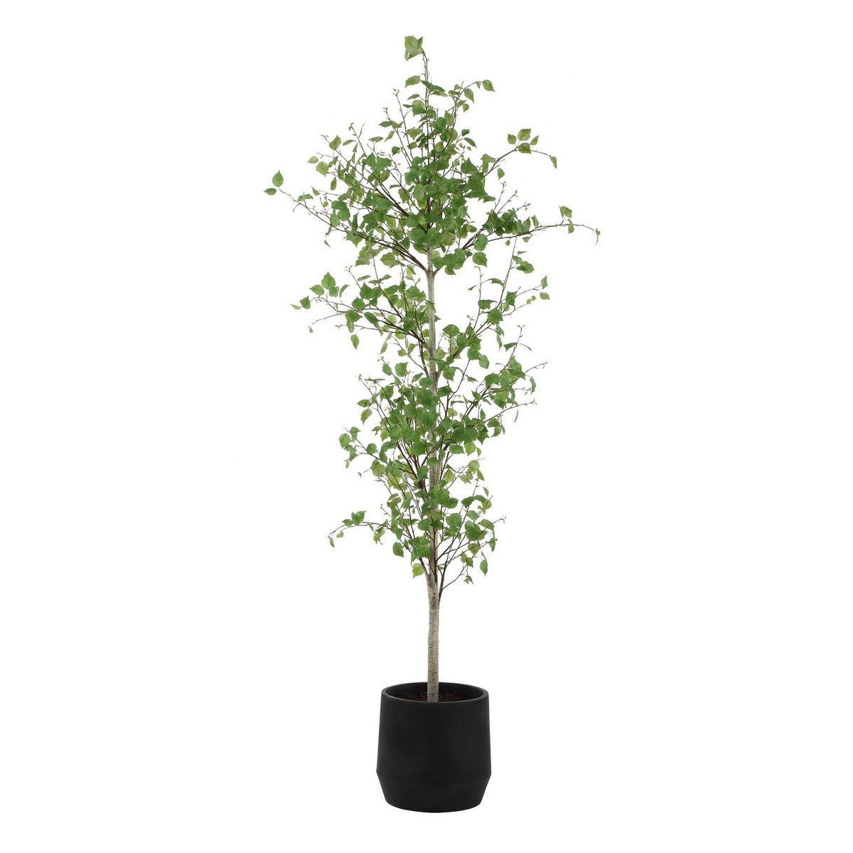 Uttermost - 60263 - Arbre - Boréal - Gris vieilli