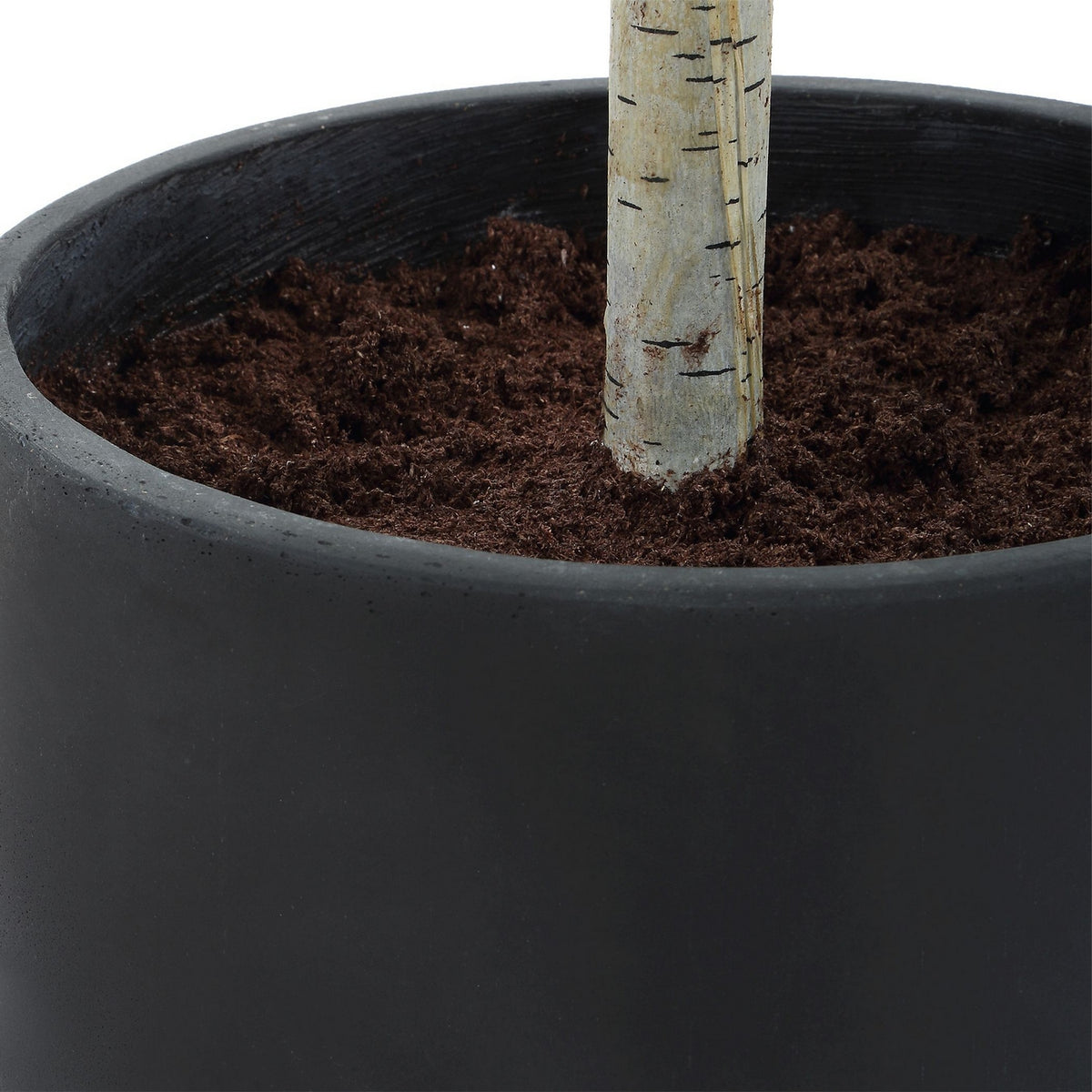 Uttermost - 60263 - Arbre - Boréal - Gris vieilli