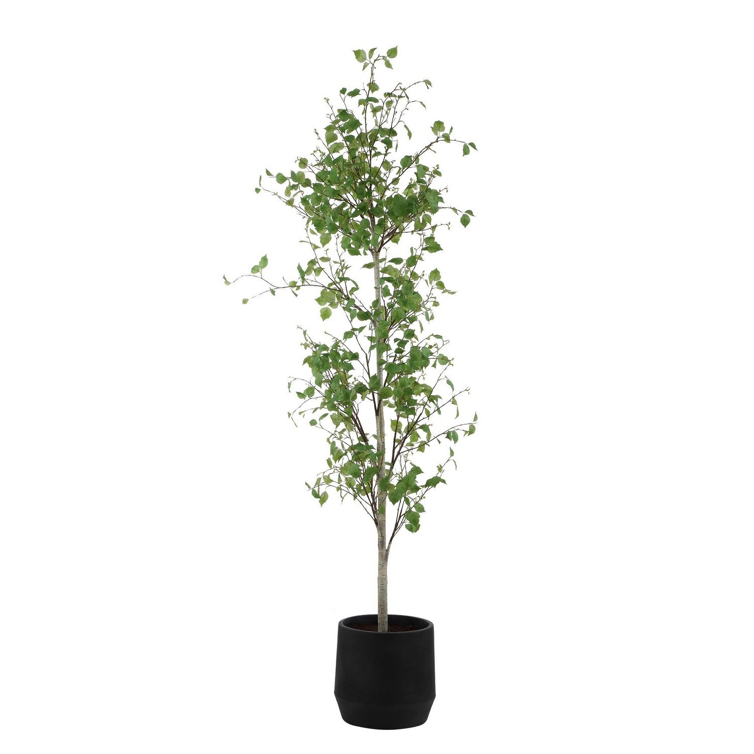 Uttermost - 60263 - Arbre - Boréal - Gris vieilli