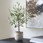 Uttermost - 60264 - Vase - Solea Olive - Vert et argenté