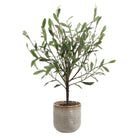 Uttermost - 60264 - Vase - Solea Olive - Vert et argenté