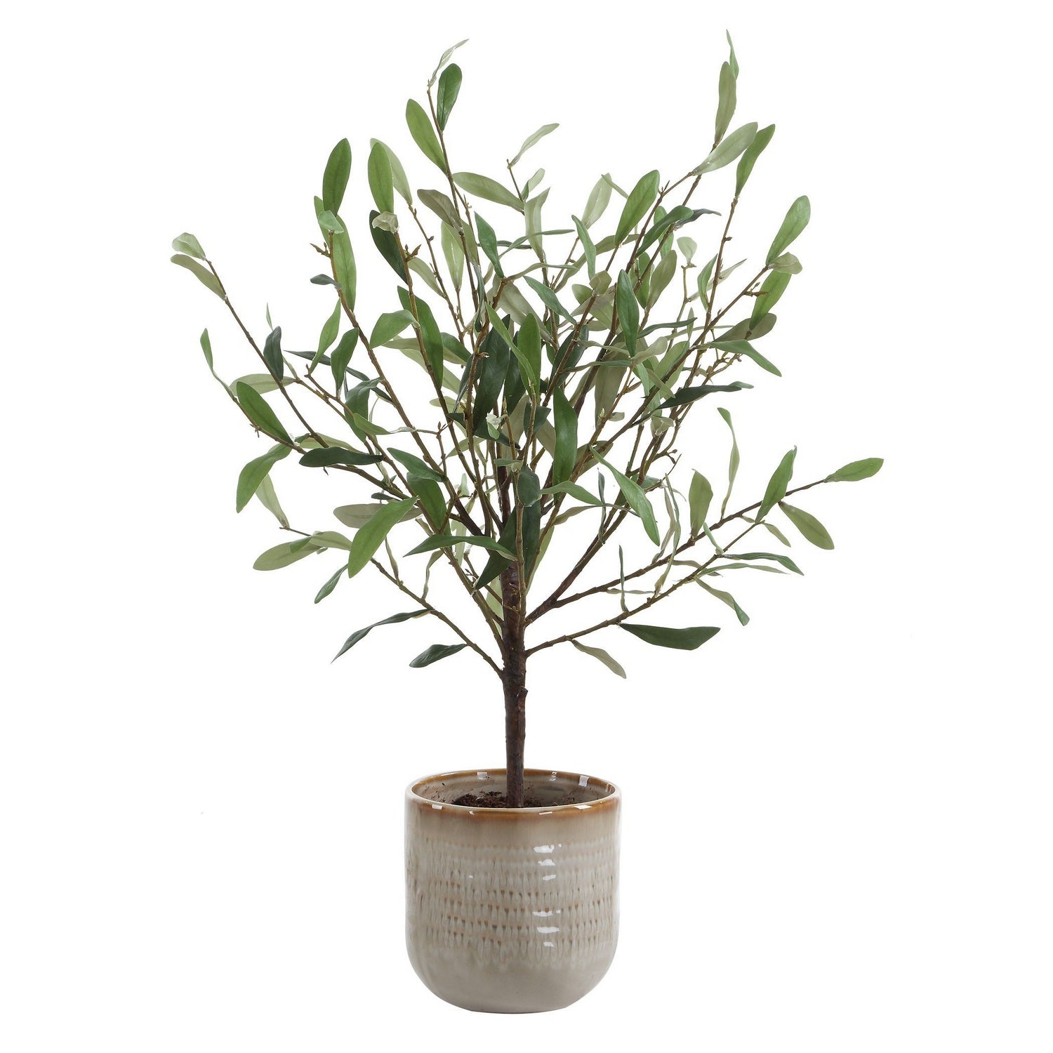 Uttermost - 60264 - Vase - Solea Olive - Vert et argenté