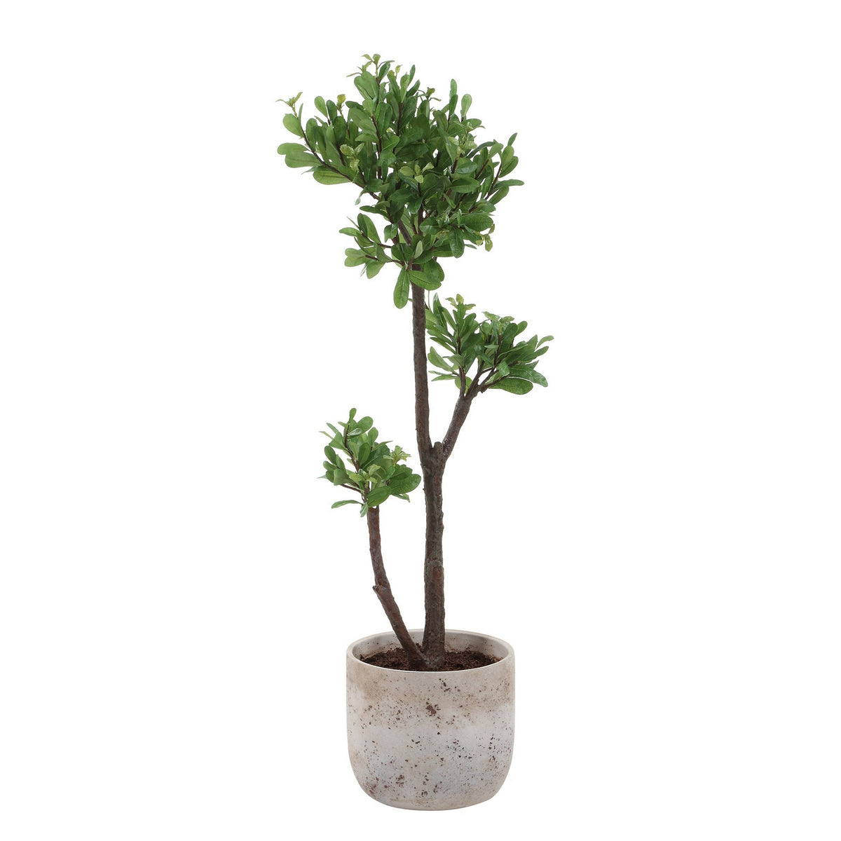 Uttermost - 60266 - Arbre - Arbor Strawberry - Ivoire vieilli