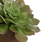 Uttermost - 60267 - Accent en pot - Succulente Sable - Terre cuite naturelle