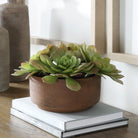 Uttermost - 60267 - Accent en pot - Succulente Sable - Terre cuite naturelle