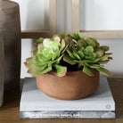 Uttermost - 60267 - Accent en pot - Succulente Sable - Terre cuite naturelle