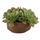 Uttermost - 60267 - Accent en pot - Succulente Sable - Terre cuite naturelle