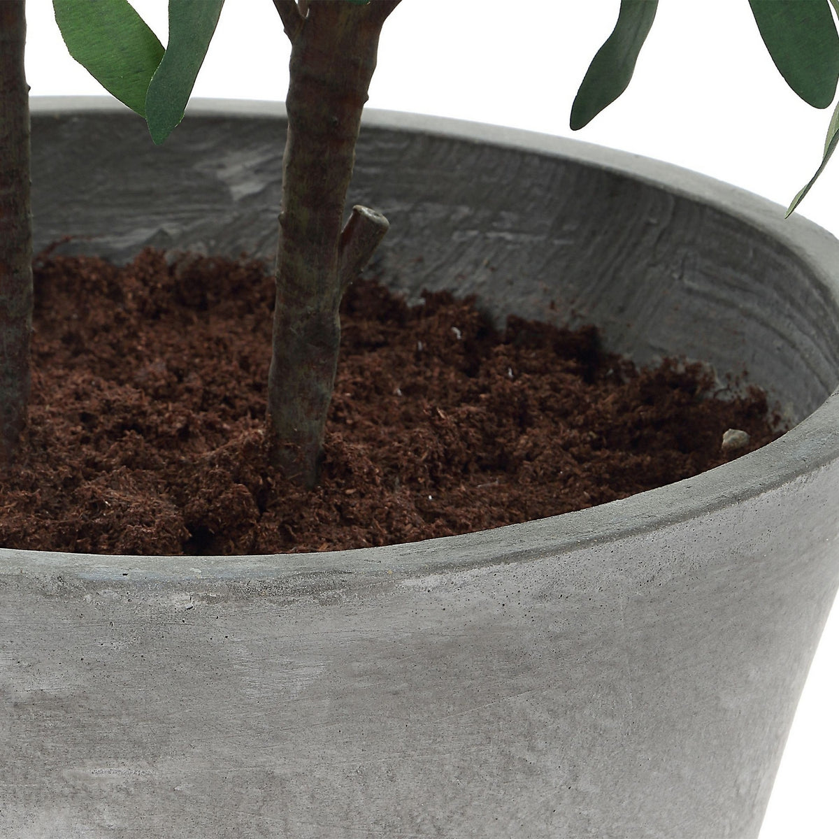 Uttermost - 60268 - Jardinière - Marisol - Oliviers aspect naturel