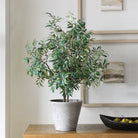 Uttermost - 60268 - Jardinière - Marisol - Oliviers aspect naturel