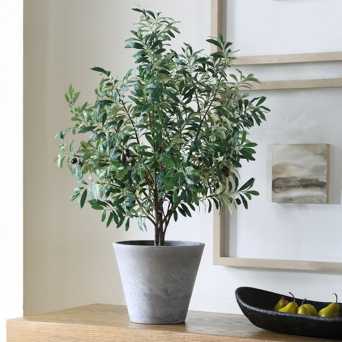 Uttermost - 60268 - Jardinière - Marisol - Oliviers aspect naturel