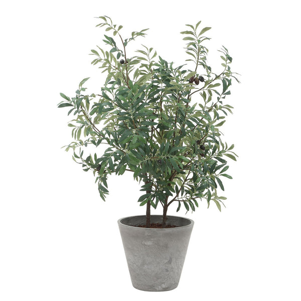 Marisol Planter