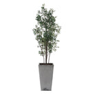 Uttermost - 60269 - Jardinière - Olive de Sonora - Vert argenté