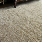 Uttermost - 73096-9 - Rug - Caramont - Ivory