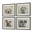 Uttermost - 32466 - Ensemble de 4 impressions encadrées - Dog Days