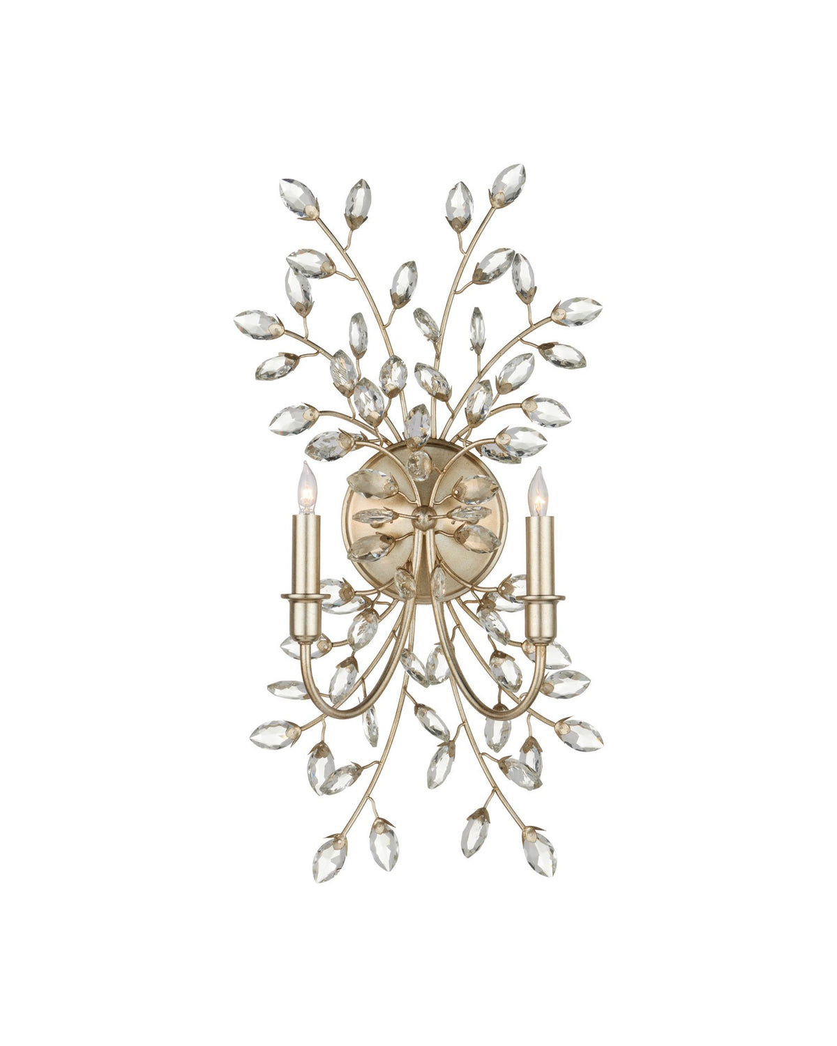 Currey and Company - 5000-0276 - Deux lumières Murale Myosotis - Feuille transparente/argentée