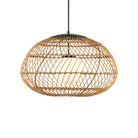 Currey and Company - 9500-0015 - Une lumière Suspension - Carrosse - Naturel / Noir / Blanc givré