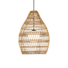 Currey and Company - 9500-0016 - Une lumière Suspension - Piège à poissons extérieur Suspension - Naturel / Noir / Blanc givré