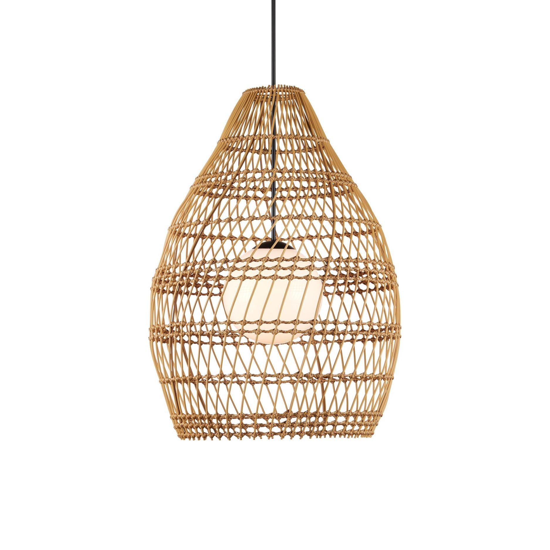 Currey and Company - 9500-0016 - Une lumière Suspension - Piège à poissons extérieur Suspension - Naturel / Noir / Blanc givré