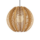 Currey and Company - 9500-0019 - Une lumière Suspension - Barbarie - Naturel / Noir / Blanc givré