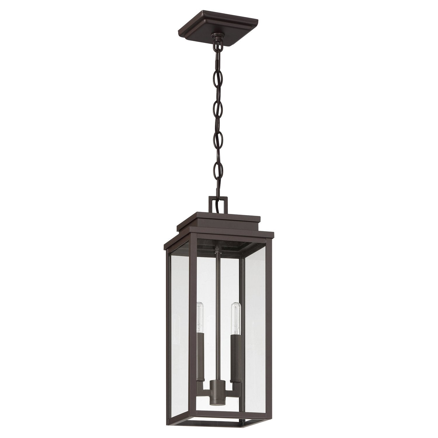 Thesis Lighting 207754A Hillside Exterior Pendant in Dark Bronze