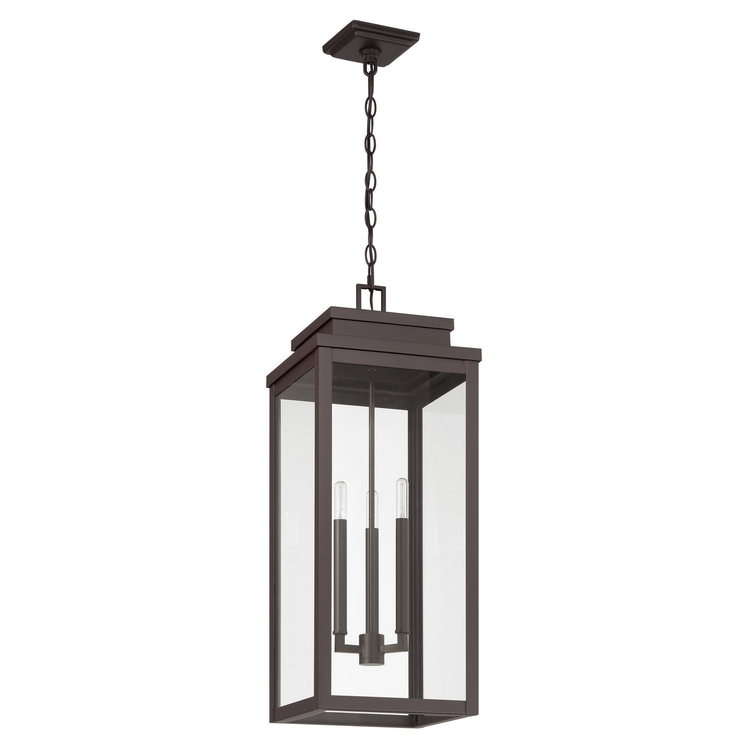 Thesis Lighting 207756A Hillside Exterior Pendant in Dark Bronze