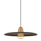Troy Lighting Canada - F2625-PBR/BRZ - Une lampe Suspension - Gilroy - Laiton patiné