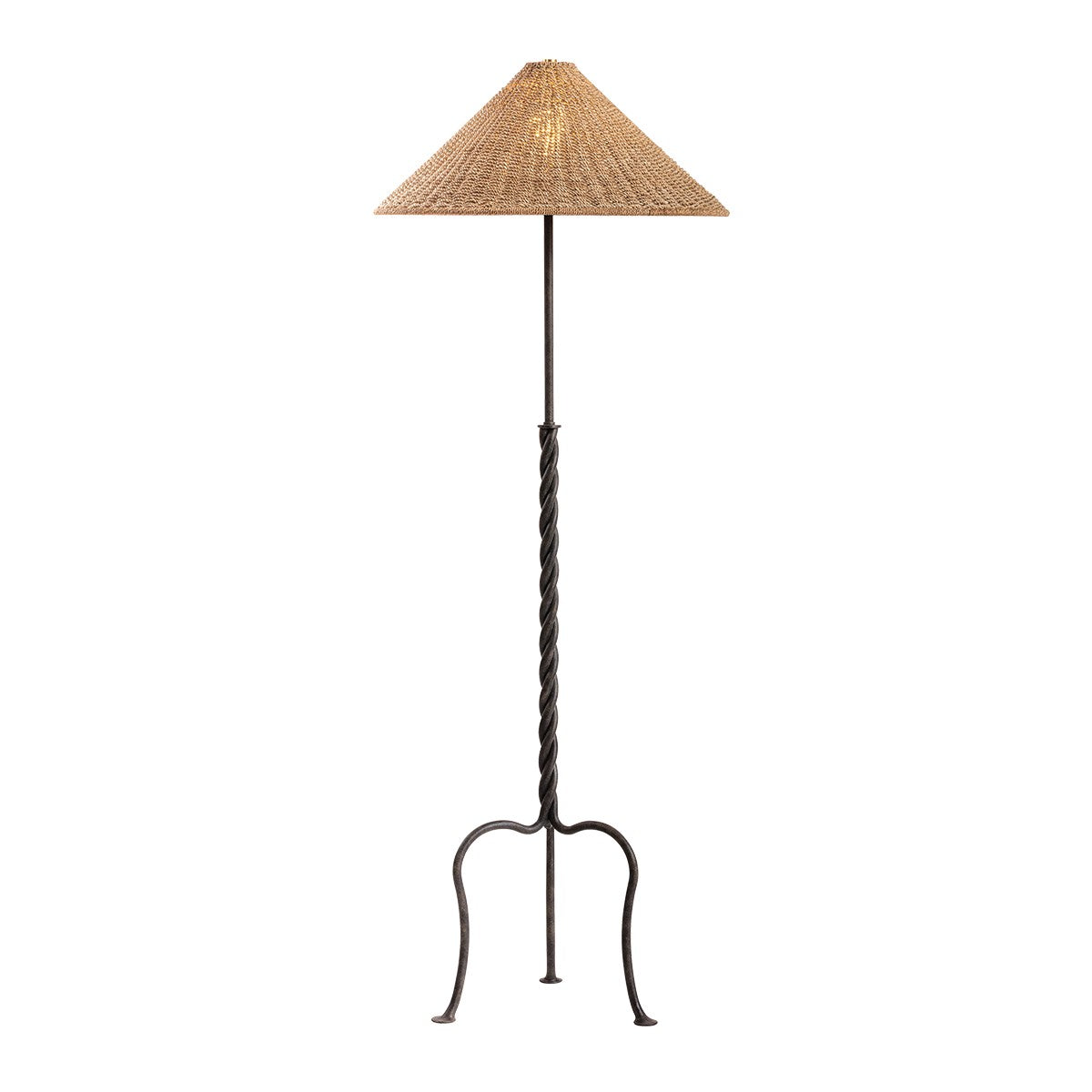 Troy Lighting Canada - PFL5164-FRN - One Light Floor Lamp - Francisco - French Iron