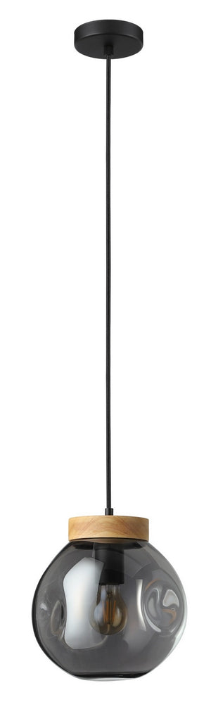 Descriptive image text