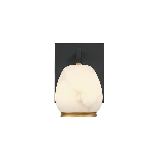 Lucidata LED Wall Mount